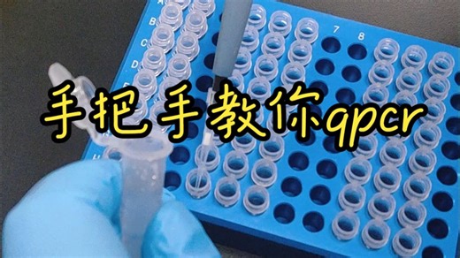 手把手教学qpcr-超详细版