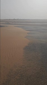 You Won't Believe How Intense the Sandstorm is Alive!