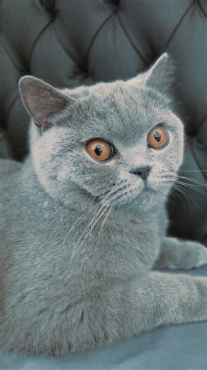 They're going to miss the video of the day of hands 😅