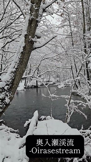 東北の名所巡ってみた-Highlights of Tohoku trip