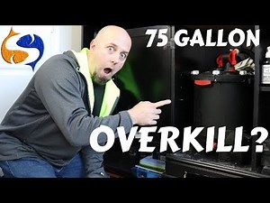 Installing A Fluval FX-6 On A 75 Gallon, Overkill? Going Small Is For Losers!