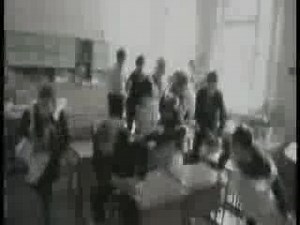 Тараканы! — Я смотрю на них