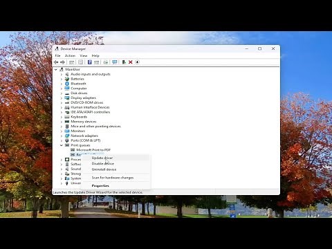 How to Fix Brother Scanner Not Working in Windows [Solution]