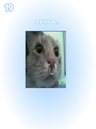 Exploring My New Fake Piercing Experience