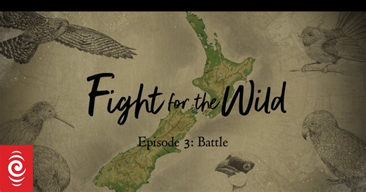 3: Battle / Predator Free 2050 & Māori