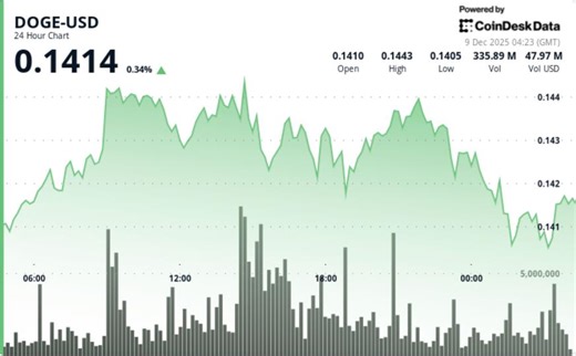 DOGE Latest News: Dogecoin Holds $0.14 Floor as Network Activity Hits 3-Month High