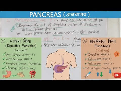 Pancreas क्या है? |अग्न्याशय कैसे काम करता है | Functions, Insulin & GK | Science + Health #pancreas
