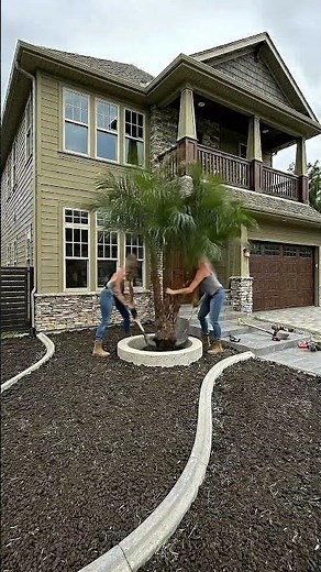 Front Yard Makeover That Changes Everything 🏡 Curb Appeal Transformation (Before & After)