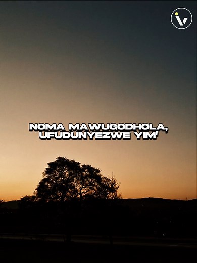 Sjava - Intombi Yami (lyrics) | #SAMA28 #immaculatetunes #sjavamusic