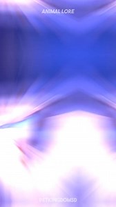 1.6K views · 17 reactions | Discover Reticulated Pythona very cute pet breedANIMAL LORE | Animals care | Facebook