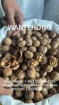 185 WALNUT with paper shell, what'sapp: ＋86 13500684385email:kathy@xuanda-food.com#walnut #food