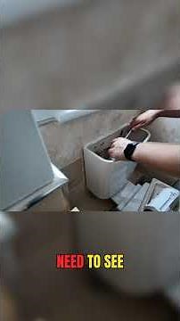 New Toilet Flush Valve & Button Installation Guide!