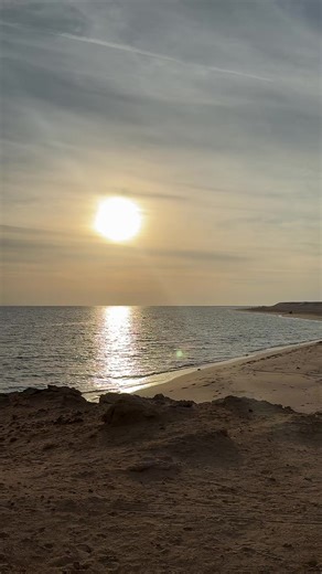 Exploring NEOM: Your Ideal Day in Saudi Arabia