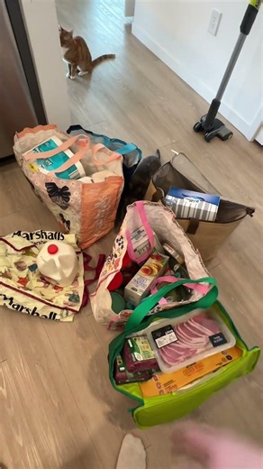 I wish I could hunt my food, it would be much cheaper. #fyp #cats #strawberryandbean #viral