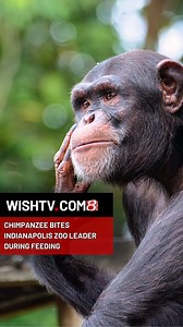 157K views · 271 reactions | The Indianapolis Zoo confirmed its...