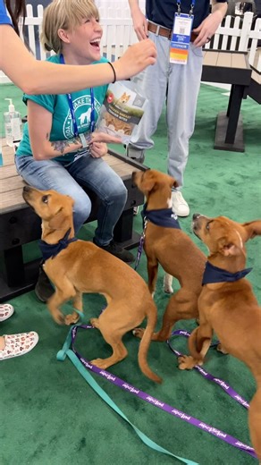 Give your loyal companion the best with Farm & Yard dog treats!  Our Chicken Breast Tender Bites (and all our treats!) are crafted from a single, natural ingredient for pure, wholesome goodness.  Order now and opt for auto-ship at checkout to save an extra 5%! #FarmAndYard #DogTreats #NaturalDogTreats #DogLovers #DogHealth #HappyPets #DogMom | Farm & Yard Products | Facebook