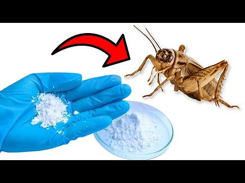 How to Get Rid of CRICKETS Naturally - Yard, House, Garden, Basement, etc