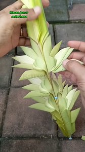 2.6M views · 25K reactions | Tutorial hiasan janur sederhana (coconut leaf craft) . #tutorial #kreasijanur #hiasanjanur #coconutleafcraft #palmleafart #diy #dekorasi #kerajinantangan #reels @sorotan Dewa Ayu Triana Dewi | Dwija PanJavas | Facebook