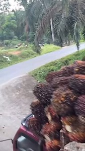 33 reactions · 20 comments | Planning a Profitable Farm Starts With...