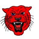 Melbourne High School (AR)  Football