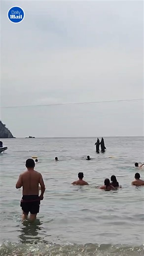 They have moves 🤩 | Daily Mail Video