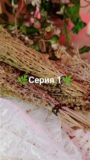 🌿1 серия 🌿 #ведьма #сериал
