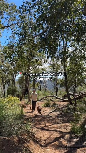 Have you been to this lookout only 30 minutes from the Perth CBD? 📍 Jorgensen Park Walk Trail, Kalamunda | Perth is OK