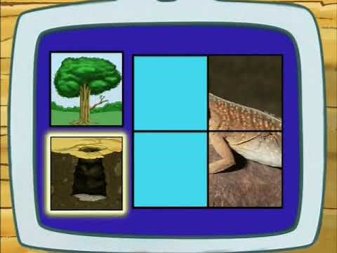 Go, Diego, Go! Desert Iguana Puzzle
