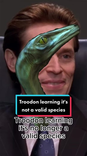 Troodon: The Dinosaur That's No Longer Valid