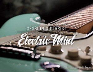 Native Instruments Session Guitarist Electric Mint v1.1 KONTAKT