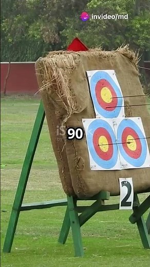 Archery & Shooting: Hit the Bullseye