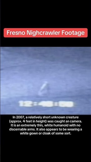 Original Nightcrawler footage caught on a security camera in Fresno, California