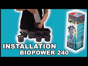 EHEIM biopower 240 - Installation