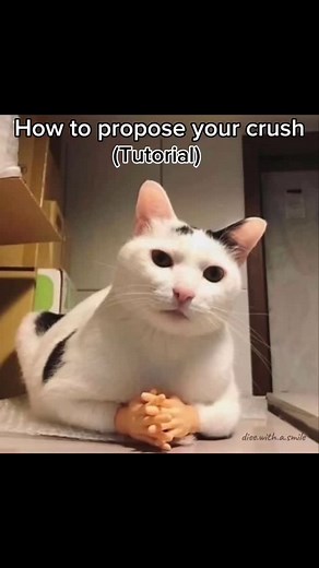 DIE.WITH.A.SMILE on Instagram: "Thanks for 4M views💗🎀 . . . . . #couplequotes #couplereels #relatable"