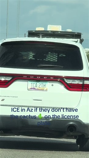 Understanding ICE License Plates in Arizona