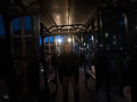 TWERKOUT 🏋️ Day 545 • LEGS - Quads, Hamstrings, Glutes, Calves (warning: glute flames may occur)