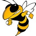 Fairview High School (TN) Girls  Basketball