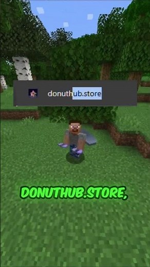 How to get Bal Top on the DonutSMP RIGHT NOW!