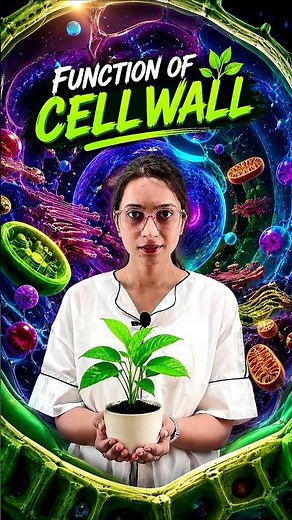 Cell Wall in Plants | Easy Biology Explanation