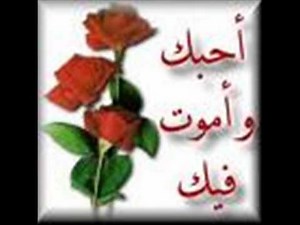 cheb nasro mon amour