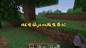 Minecraft 电脑java版生存10