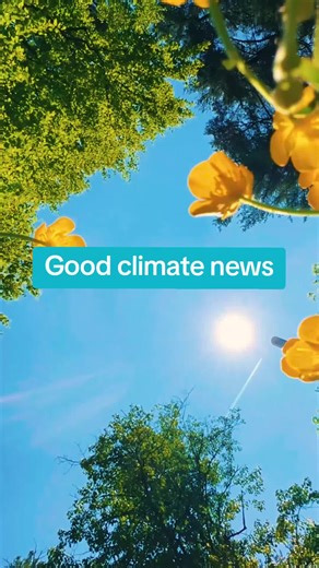 It's sunny! Here's three good news stories you might have missed. @pcgardenerbransholme #goodnews #ecotok #nature #positivevibes #naturetok