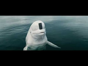 NerdWallet / Genius Beluga - 2025 Super Bowl Commercial