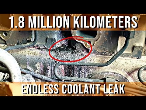 What Happens to an Engine After 1.1 Million Miles? | F2000 19.414 Engine Teardown