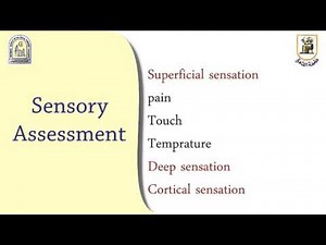 Sensory examination of the nervous system