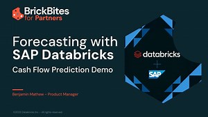Cash Flow and Liquidity Forecasting_BB for Partners_pilot