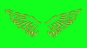 Download Neon wings green screen free video for free