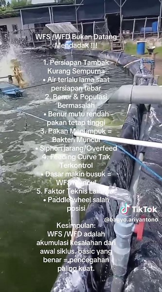 Understanding WFD and WFS in Aquaculture Management