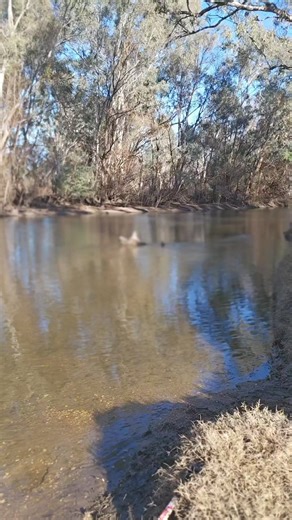 133K views · 1.4K reactions | This is called a blue circle. And it can find you gold! #blue #circles #gold #swirl #golddigger | Chris Bogusis | Facebook
