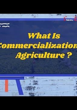 Commercialisation of Agriculture |Commercialization of agriculture |What is commercial farming ?